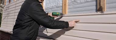 Best Vinyl Siding Installation  in Esparto, CA